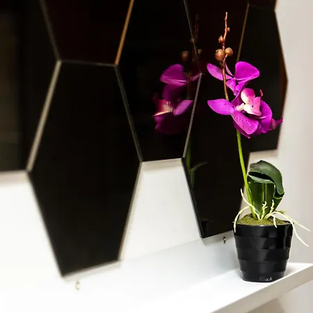 Apartamento Precioso B Ferreira